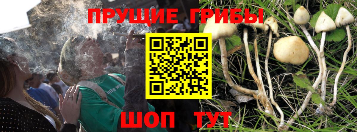 Псилоцибиновые грибы мухоморы Ялта
