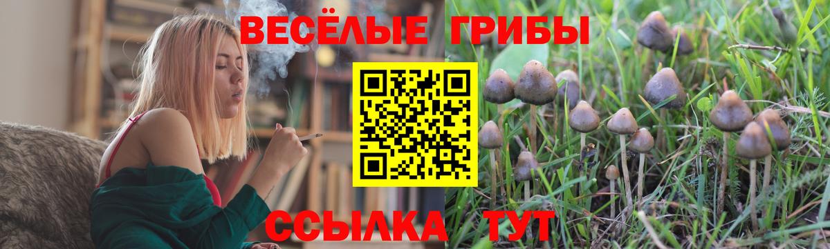 Галлюциногенные грибы Psilocybine cubensis  Вход с VPN  Ялта 